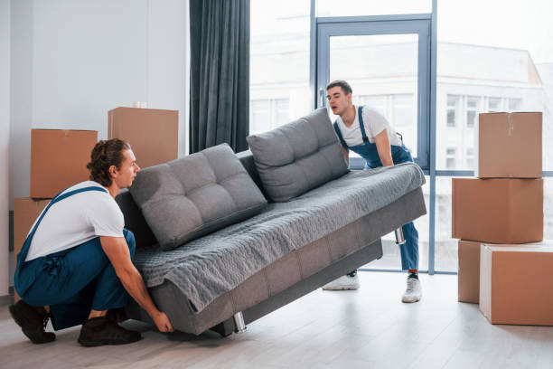istockphoto 1332288894 612x612 1