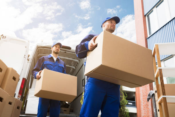 istockphoto 928084870 612x612 1